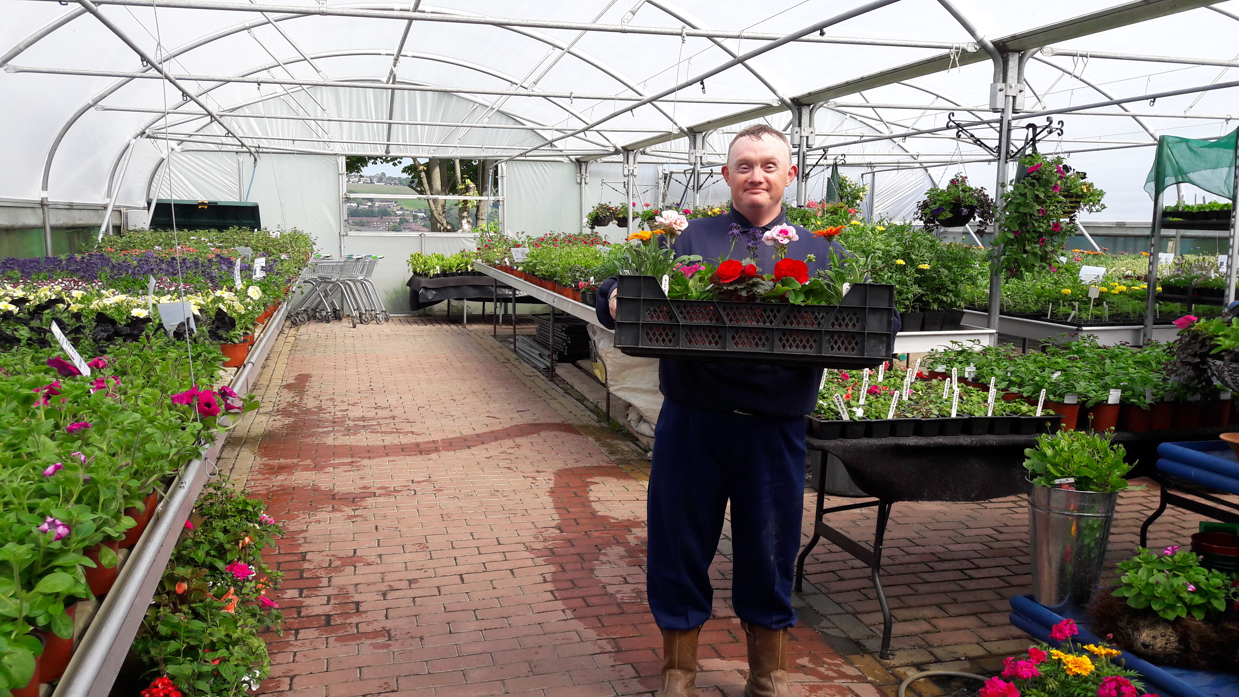 Team member holding plants for sale in the garden centre polytunnel
NEET Bradford
Adults with Learning Disabilities
Day Service
Garden Centre
