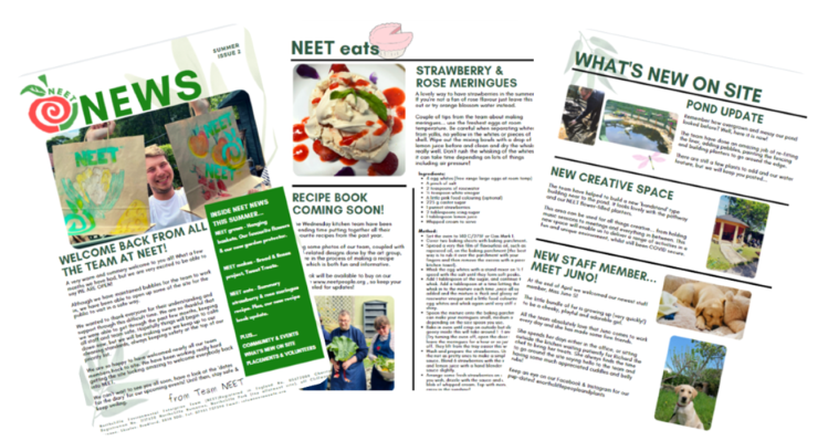 NEET newsletter
Bedding plants for sale
What we have been up to
NEET Bradford Shipley
Adults with Learning Disabilities
Day Service
Garden Centre